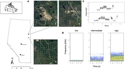 Relative Importance for Lincoln’s Sparrow (Melospiza lincolnii) Occupancy of Vegetation Type versus Noise Caused by Industrial Development